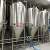 3 kärl/tank bryggsystem av livsmedelskvalitet 10HL nyckelfärdigt automatiskt bryggeri elektriskt eller ångbryggeri